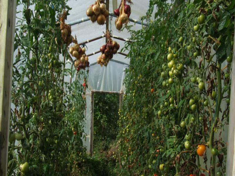 Dawn House B&B Kilmeaden Bagian luar foto