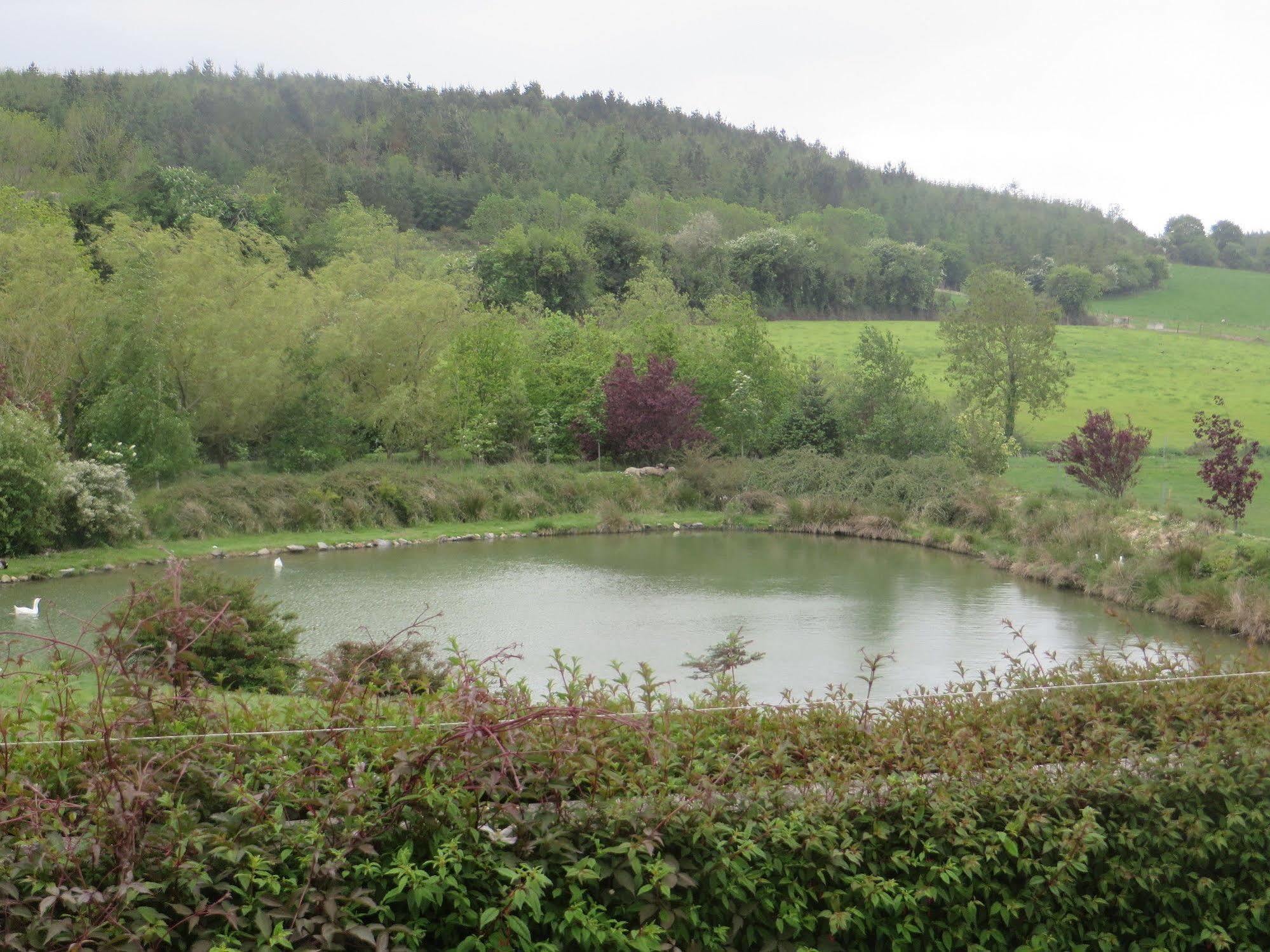 Dawn House B&B Kilmeaden Bagian luar foto